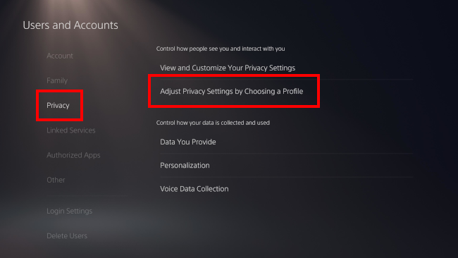 Adjust Privacy Settings by Choosing a Profile on PS5