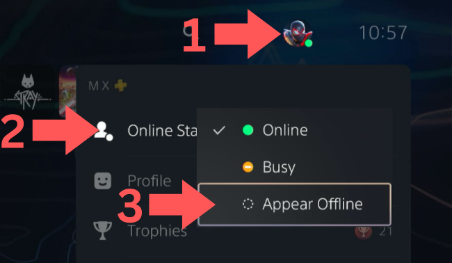 Appear offline on PS5 via home screen