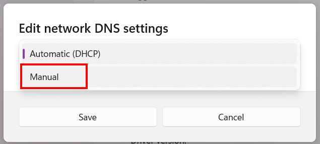 Edit network DNS settings window