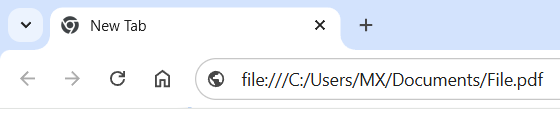 Enter the location of the file in your browser’s address (URL) bar
