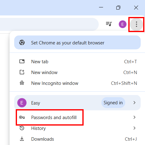 Google Chrome Passwords and autofill