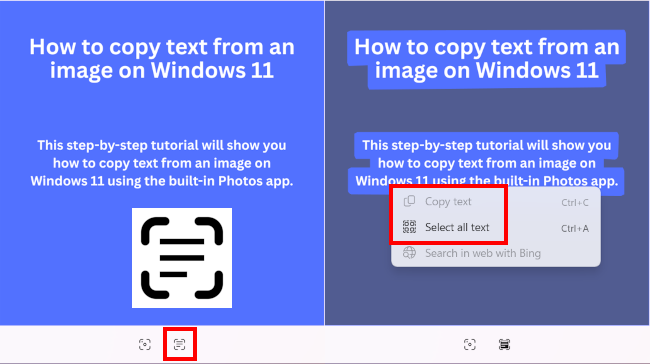 Using the Scan Text OCR button in the Windows 11 Photos app to copy text from a saved image